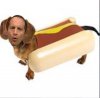 Joe Bastardi Weenie funny.jpg