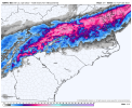 nam-nest-carolinas-total_snow_10to1-1258000.png