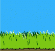 duck-hunt-nes.gif