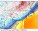 nam-nest-carolinas-t2m_f-2366800.png