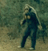 DanceSquatch.gif