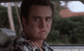 giphy (3) (11).gif