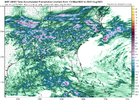 wrf-arw2_apcpn_seus_45.png