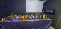 20220827_193114_compress69.jpg
