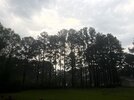 45E83BD9-332C-4E07-8D98-846056D715EB.jpeg