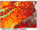 NAM3K_10MWindGust_NC_2024-01-08_12Z_FHr48_WB.png