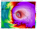 hwrf_mslp_uv850_09L_13.png