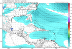 ec-aifs_mslp_wind_watl_40.png