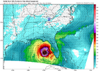 nam3km_mslp_wind_seus_60.png