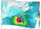 nam3km_mslp_wind_seus_60 (1).png