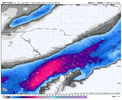 nam-218-all-southcarolina-total_snow_kuchera-7579600.png