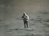 E56DD1A3-AF83-4E11-96E8-A53101F0A6AB.gif