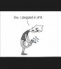 C11A398A-4C8C-4AD4-BE35-0EC9F1AFFEA5.jpeg