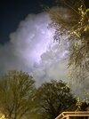 IMG_0349.jpeg