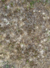 Screenshot 2025-05-03 135055.png
