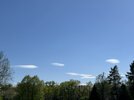 IMG_0567.jpeg