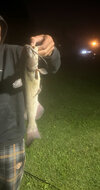 IMG_7599.jpeg