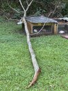IMG_4388.jpeg