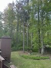 IMG_4326.jpeg