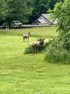 IMG_0845.jpeg