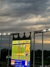 IMG_1100.jpeg