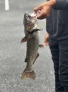 IMG_7757.jpeg