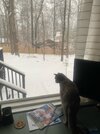 IMG_2890.JPEG