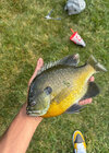 IMG_7787.jpeg
