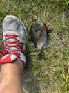 IMG_1174.jpeg