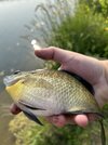 IMG_1173.jpeg