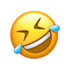 1750120265730.png