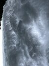IMG_1391.jpeg