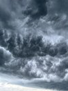 IMG_1388.jpeg