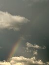 IMG_1417.jpeg
