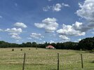 IMG_3803.jpeg
