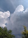 20250625_160511.jpg