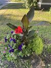 IMG_1529.jpeg