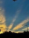 IMG_1646.jpeg