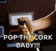 celebrate-champagne.gif