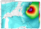 ec-aifs_mslp_wind_seus_48.png