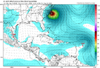 ec-aifs_mslp_wind_watl_48.png