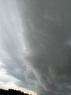 IMG_2116.jpeg