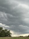 IMG_2232.jpeg