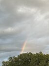 IMG_2366.jpeg