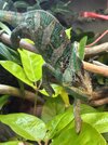 IMG_2353.jpeg