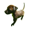 1758316160826.png