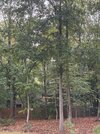 IMG_4066.jpg