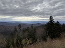 IMG_4181.jpeg