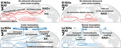 MJO NAO ENSO teleconnection.jpg MJO NAO ENSO teleconnection.jpg
