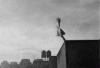 FBDDDDEE-CF07-417F-9F82-5DC6A446170A.gif